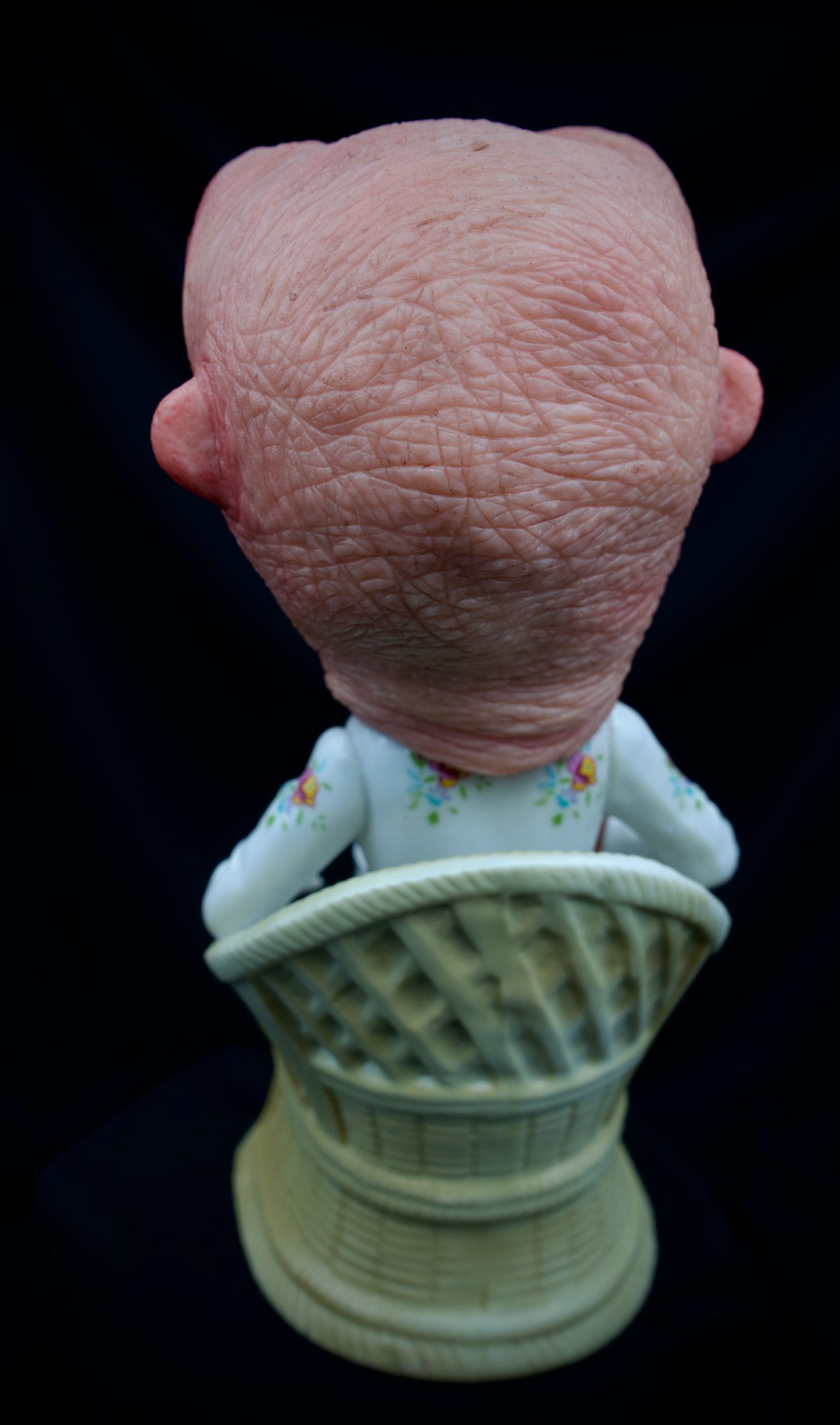 Salty’s WTFs - Hybrid- Archibald