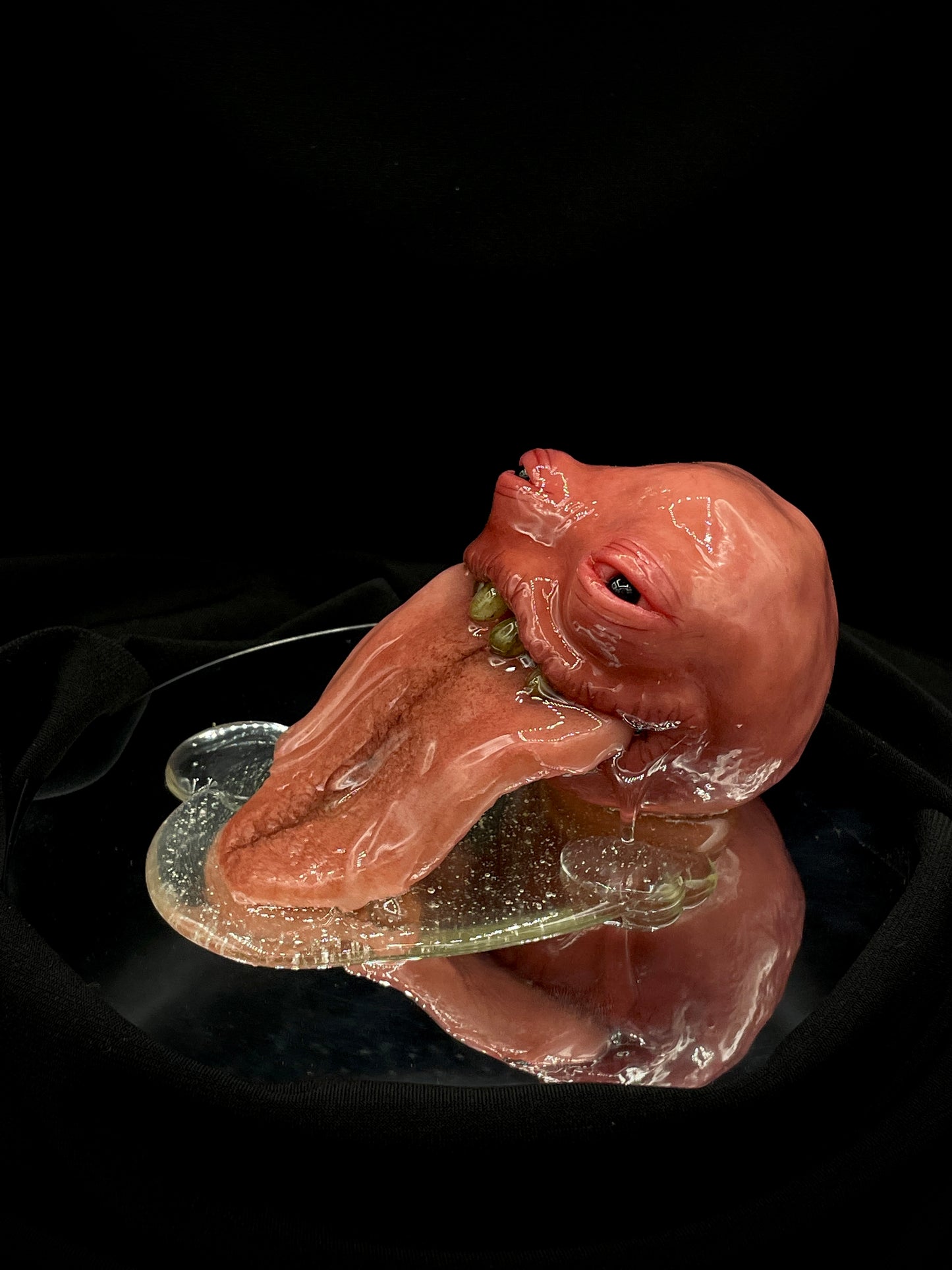 Salty's Ball Licker - Baby - 1