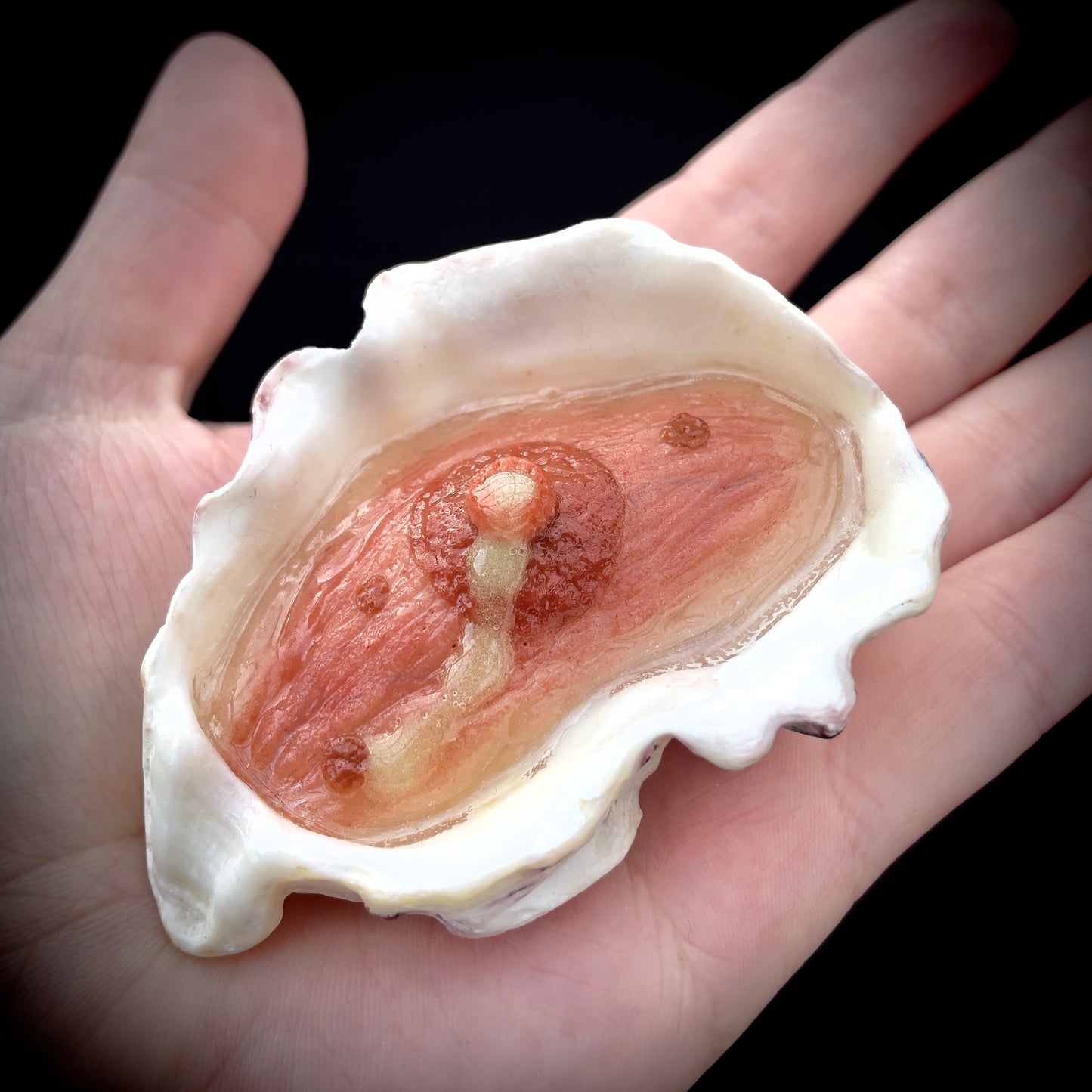 Salty's Shells - Leaky Nipple