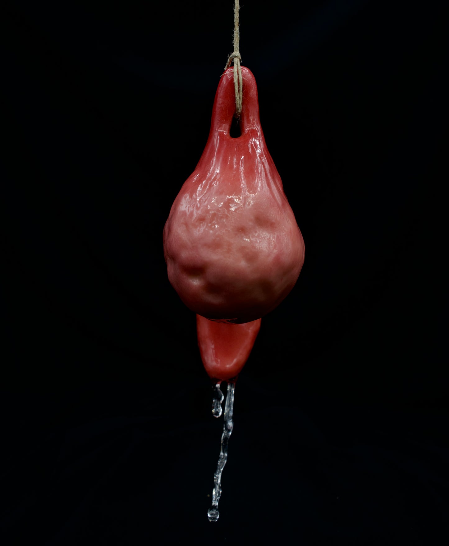 Salty's Ball Licker - Baby - 6 “The dirty Dangler”