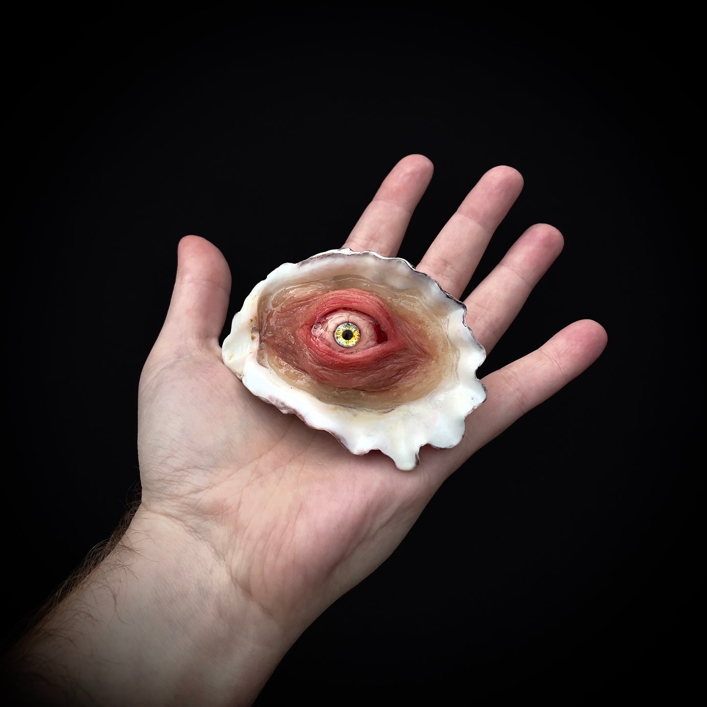 Salty's Shells - Eye 1