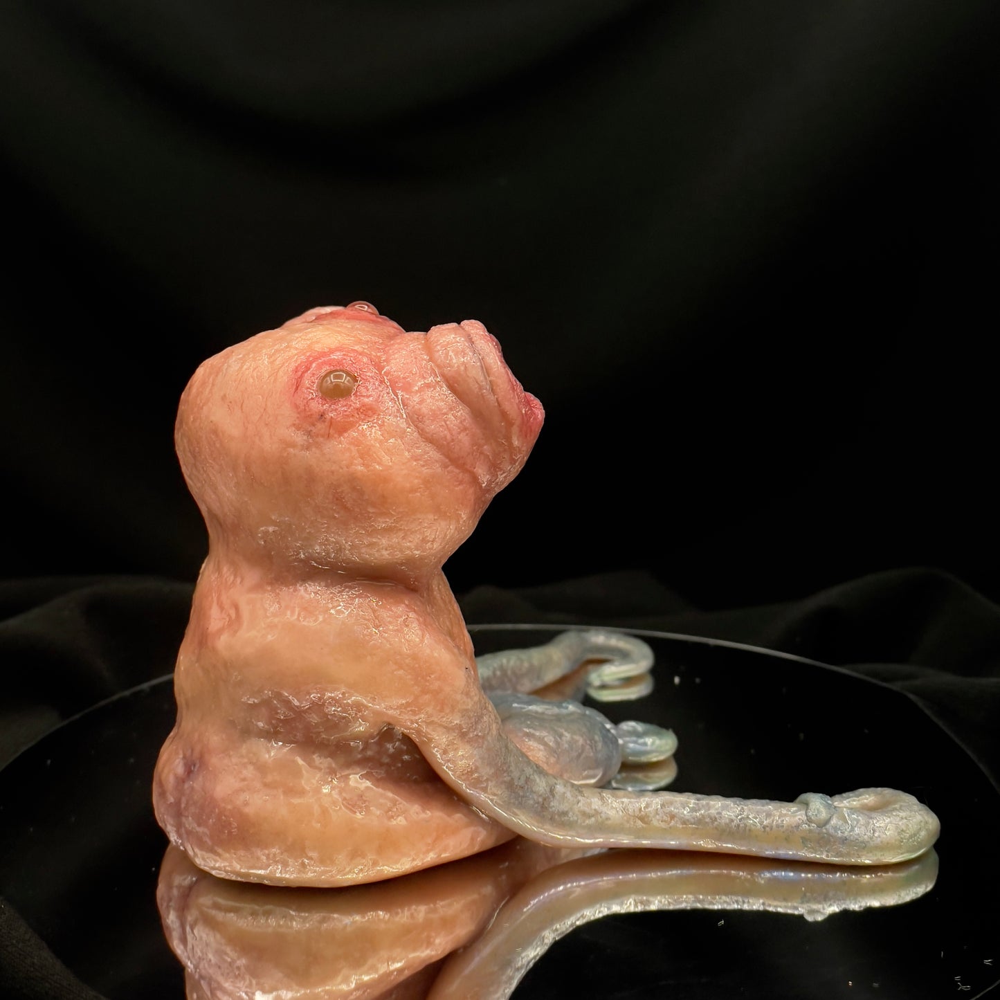 Salty’s WTFs - WTF #2 “Frank”