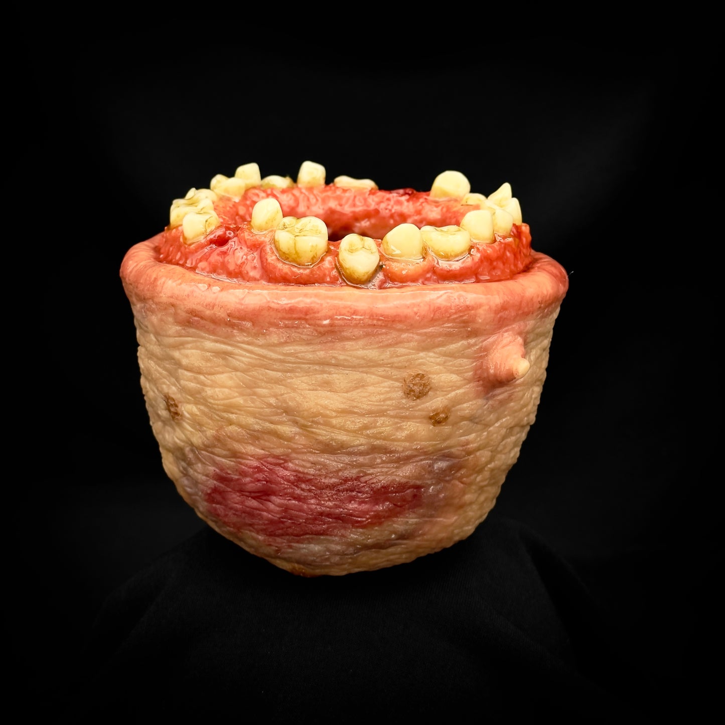 Salty’s Bits- Fleshy Toothy Cup of Holding.