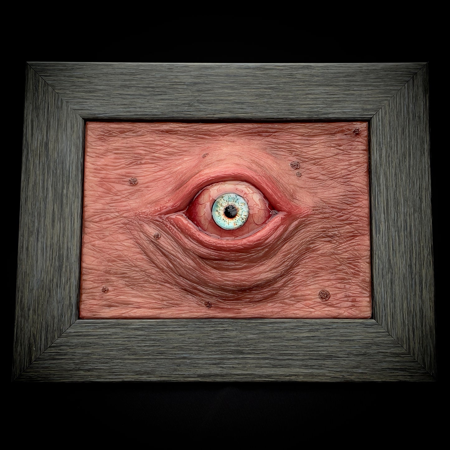 Salty’s WTFs - Framed High eye. (Blue)