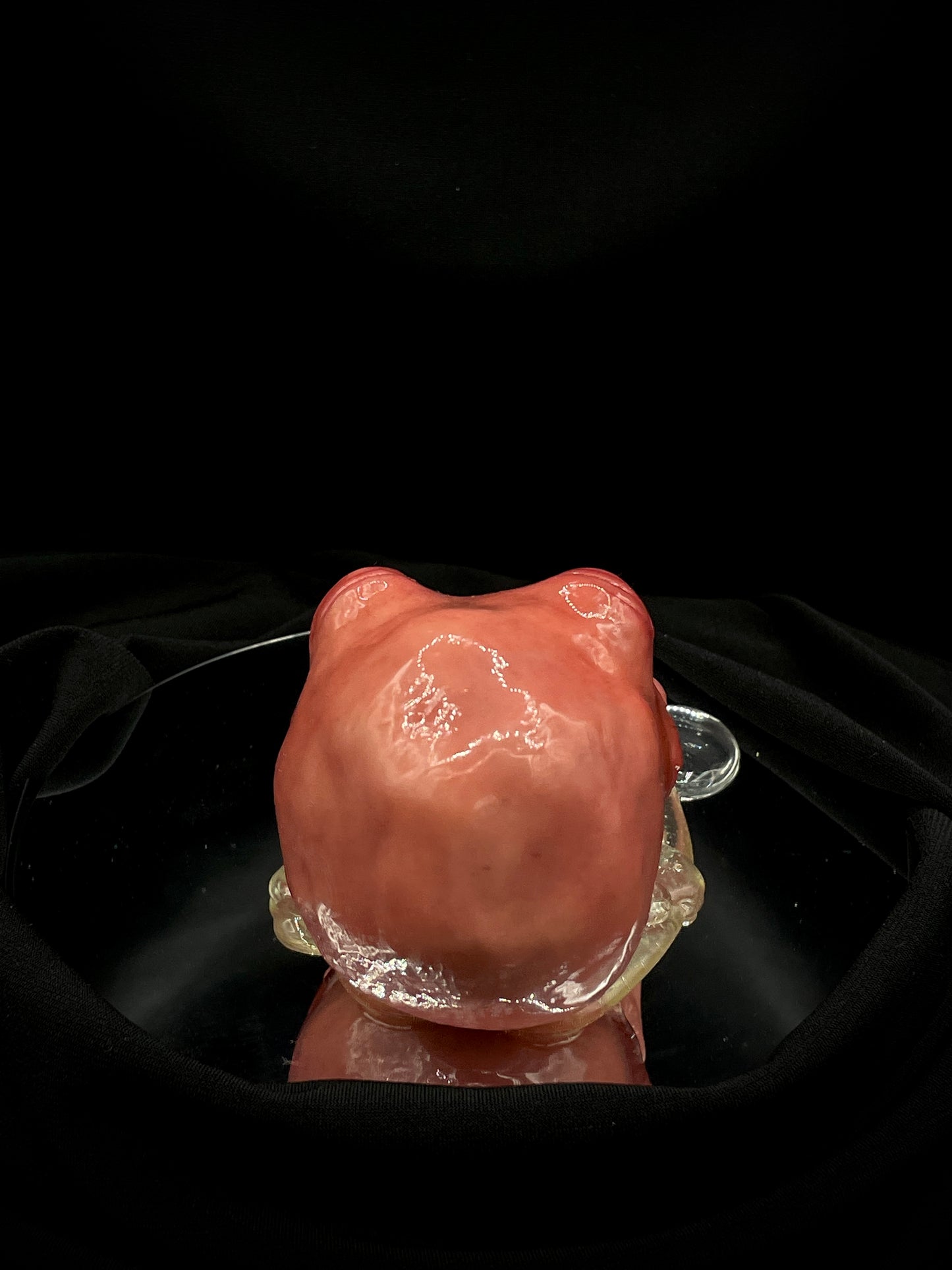 Salty's Ball Licker - Baby - 1