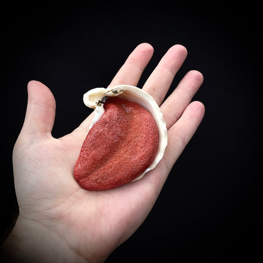 Salty's Shells - Tongue 3