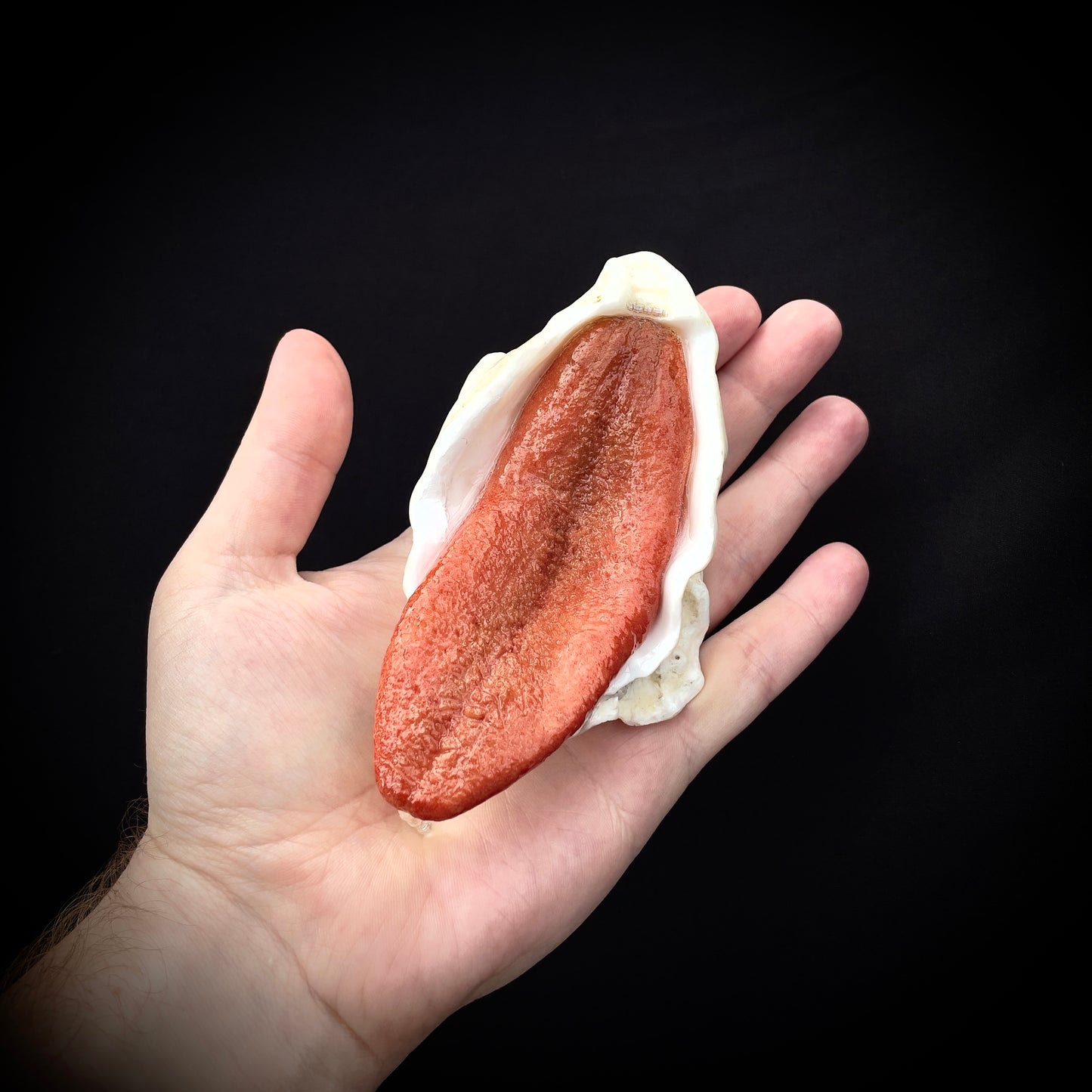 Salty's Shells - Tongue with drip