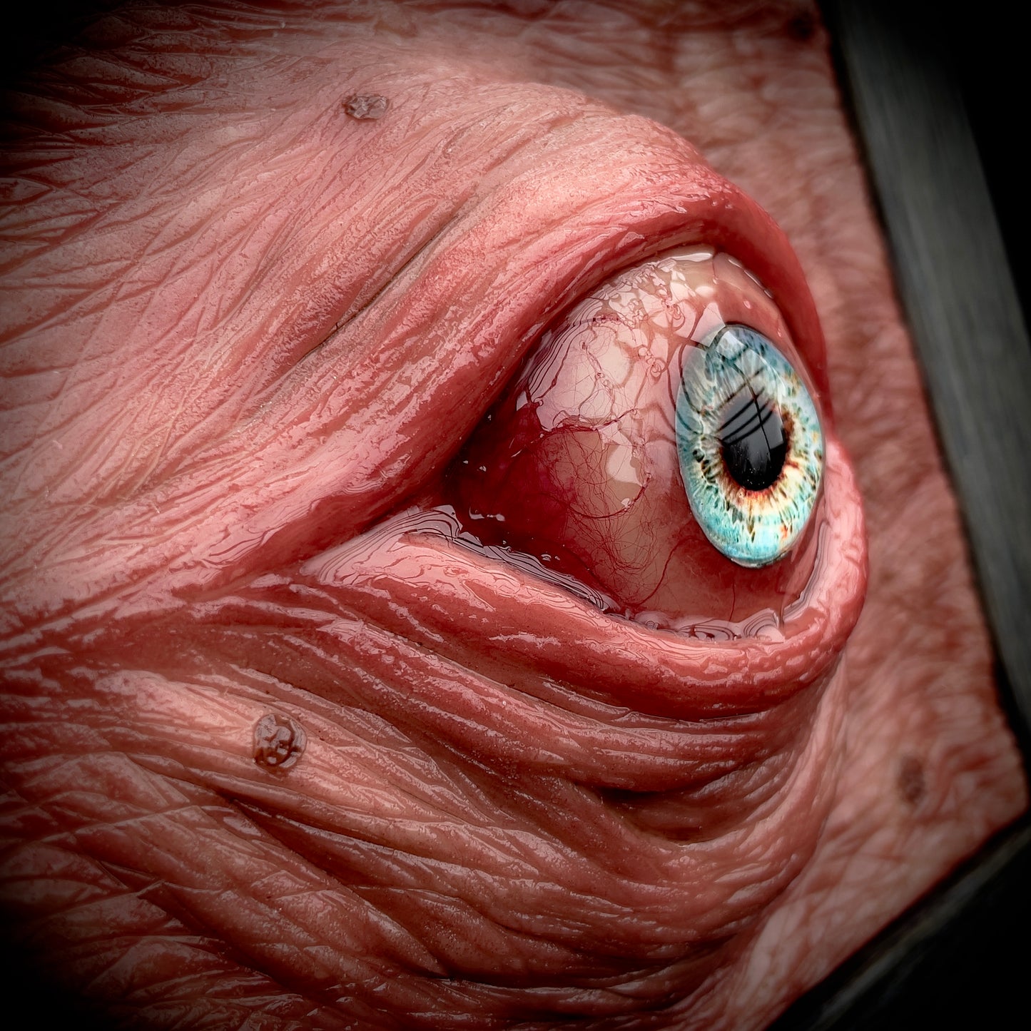 Salty’s WTFs - Framed High eye. (Blue)