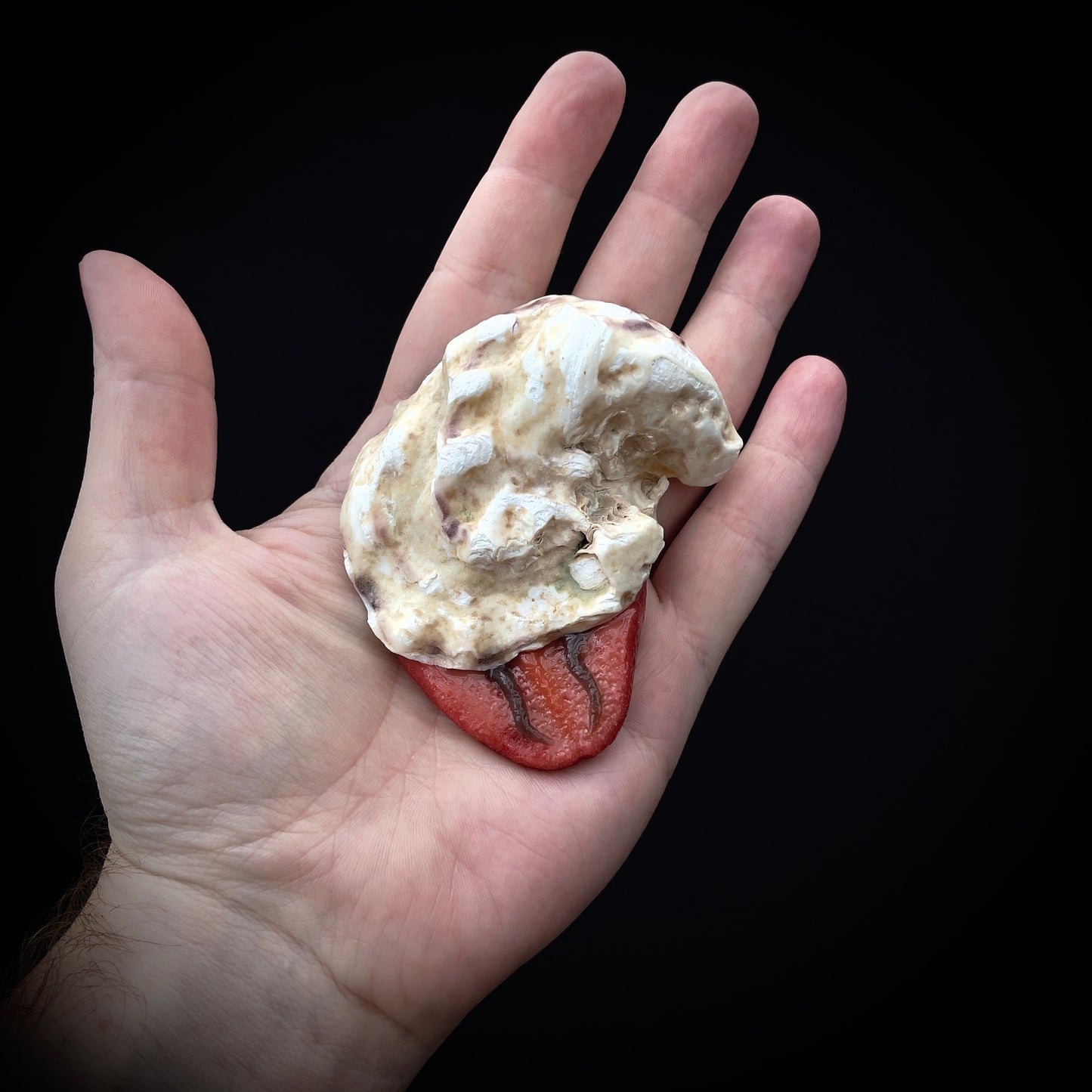 Salty's Shells - Tongue 3