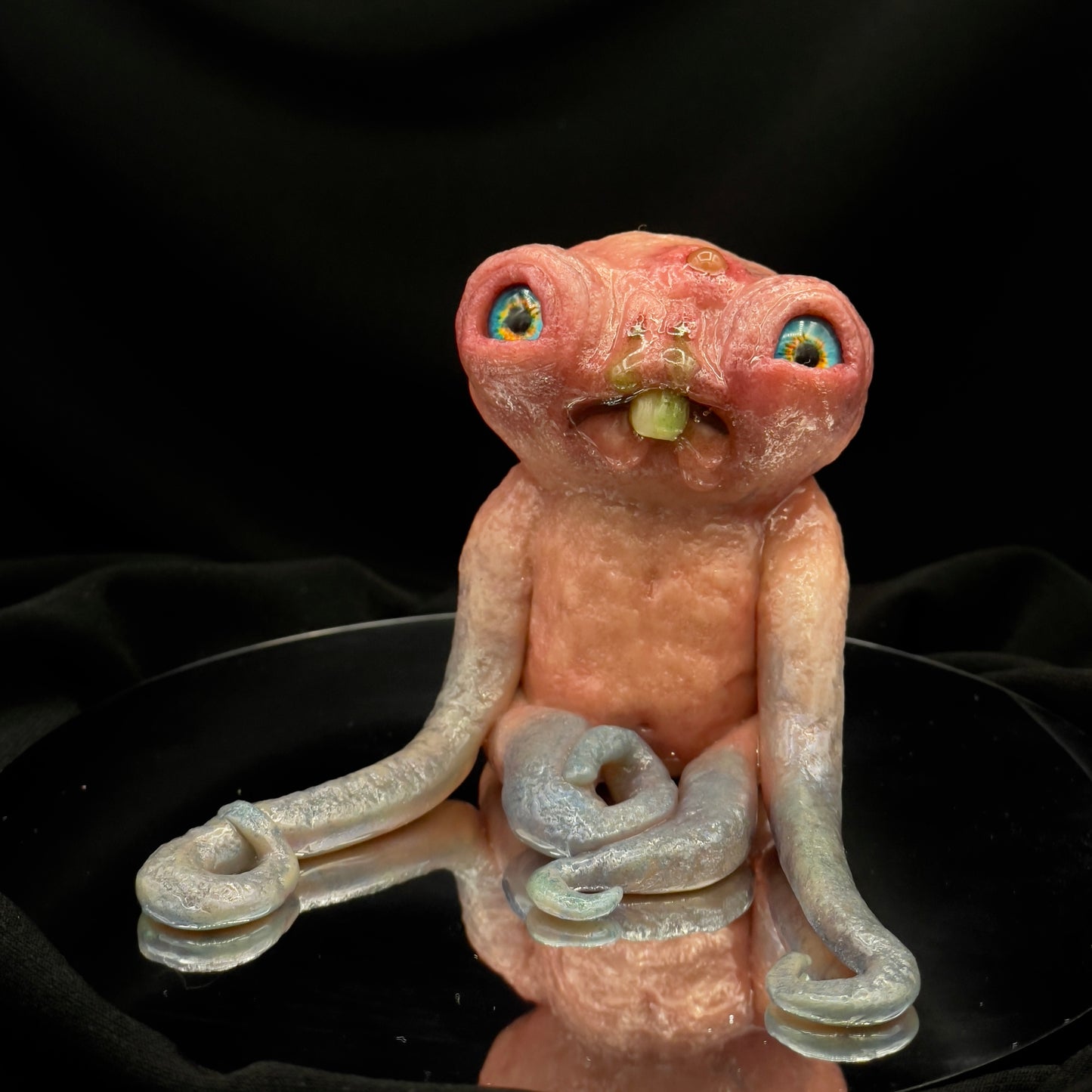 Salty’s WTFs - WTF #2 “Frank”