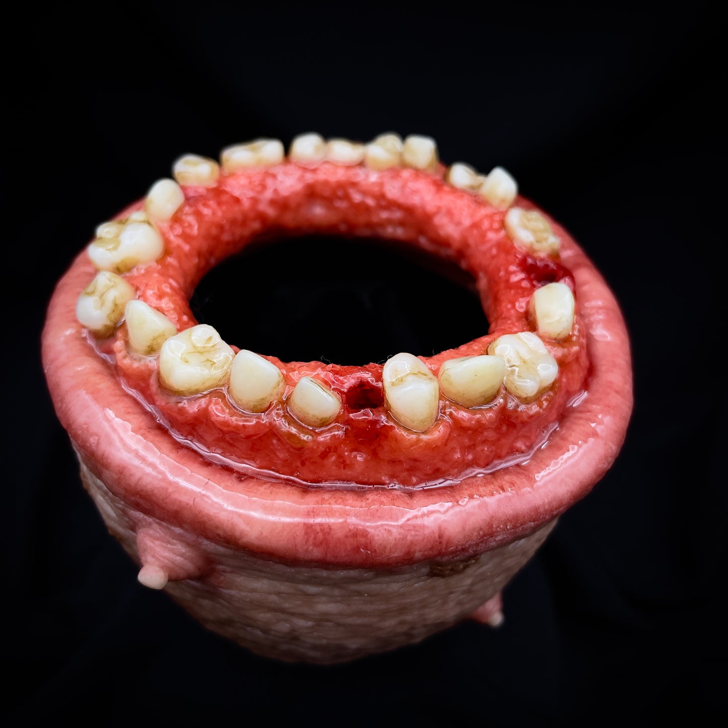 Salty’s Bits- Fleshy Toothy Cup of Holding.