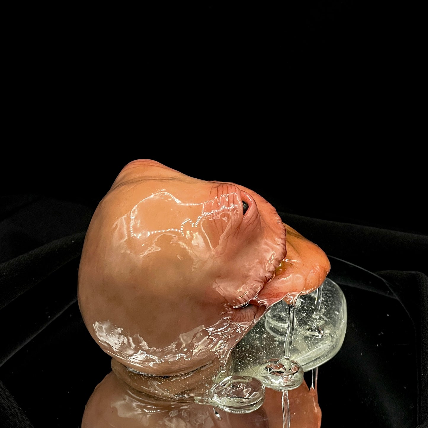 Salty's Ball Licker - Baby - 4