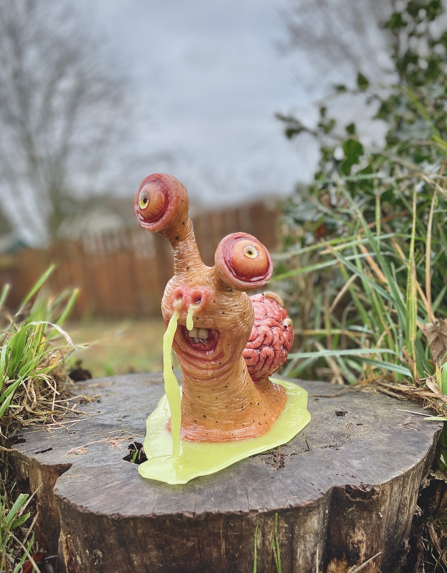 Salty’s WTFs - WTF #3 “Saul The Derp Snail”