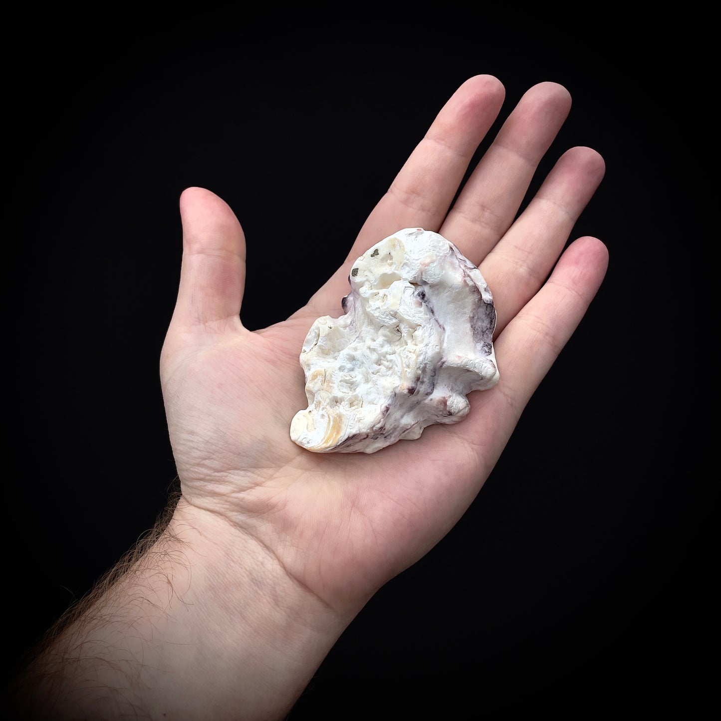 Salty's Shells - Leaky Nipple