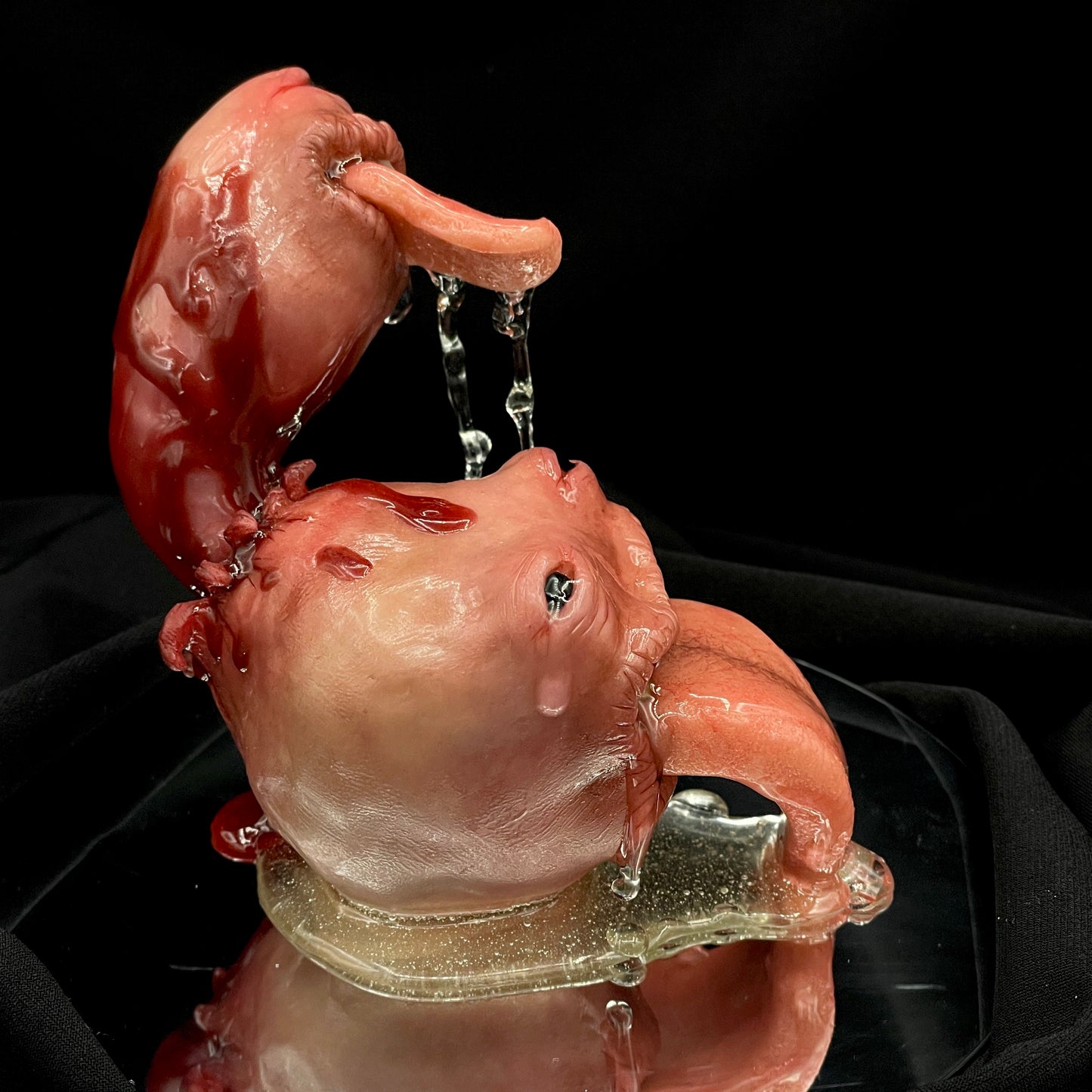 Salty's Ball Licker - Baby - 3