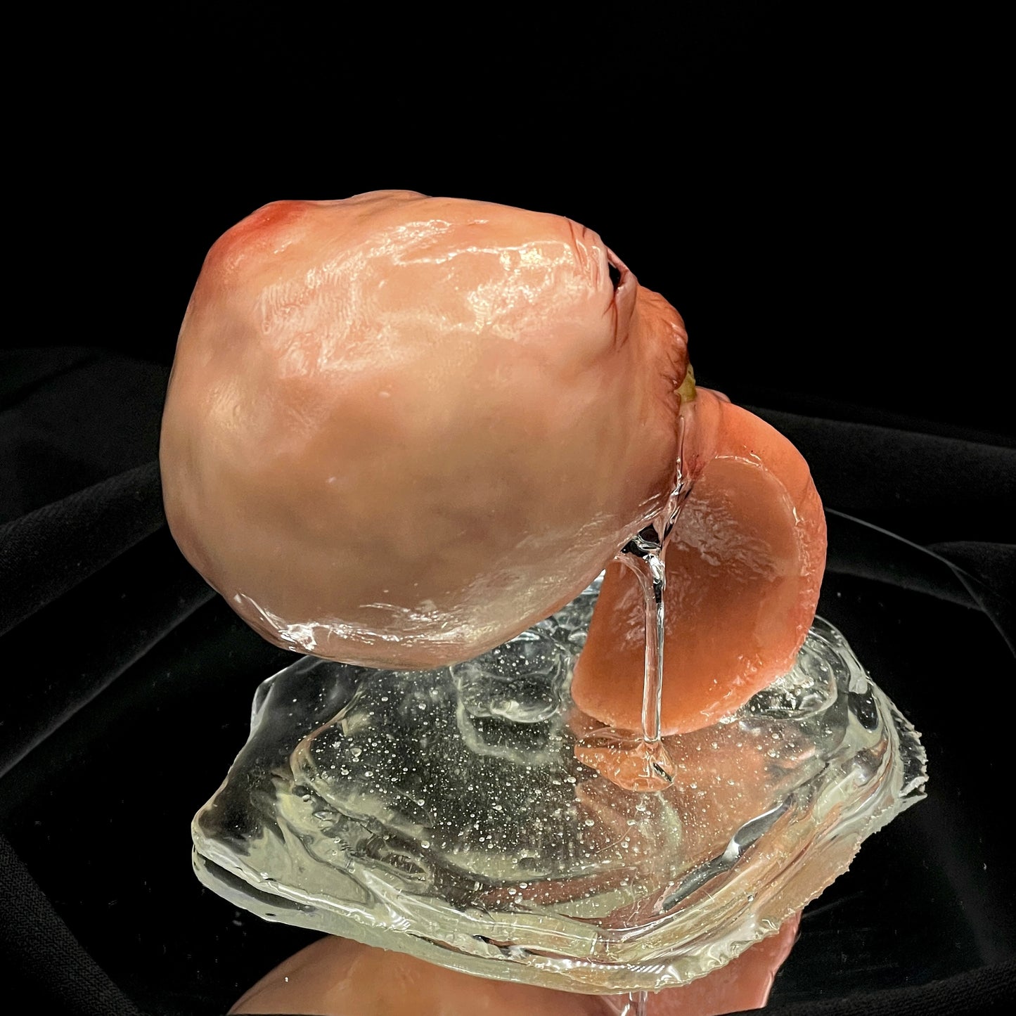 Salty's Ball Licker - Baby - 5