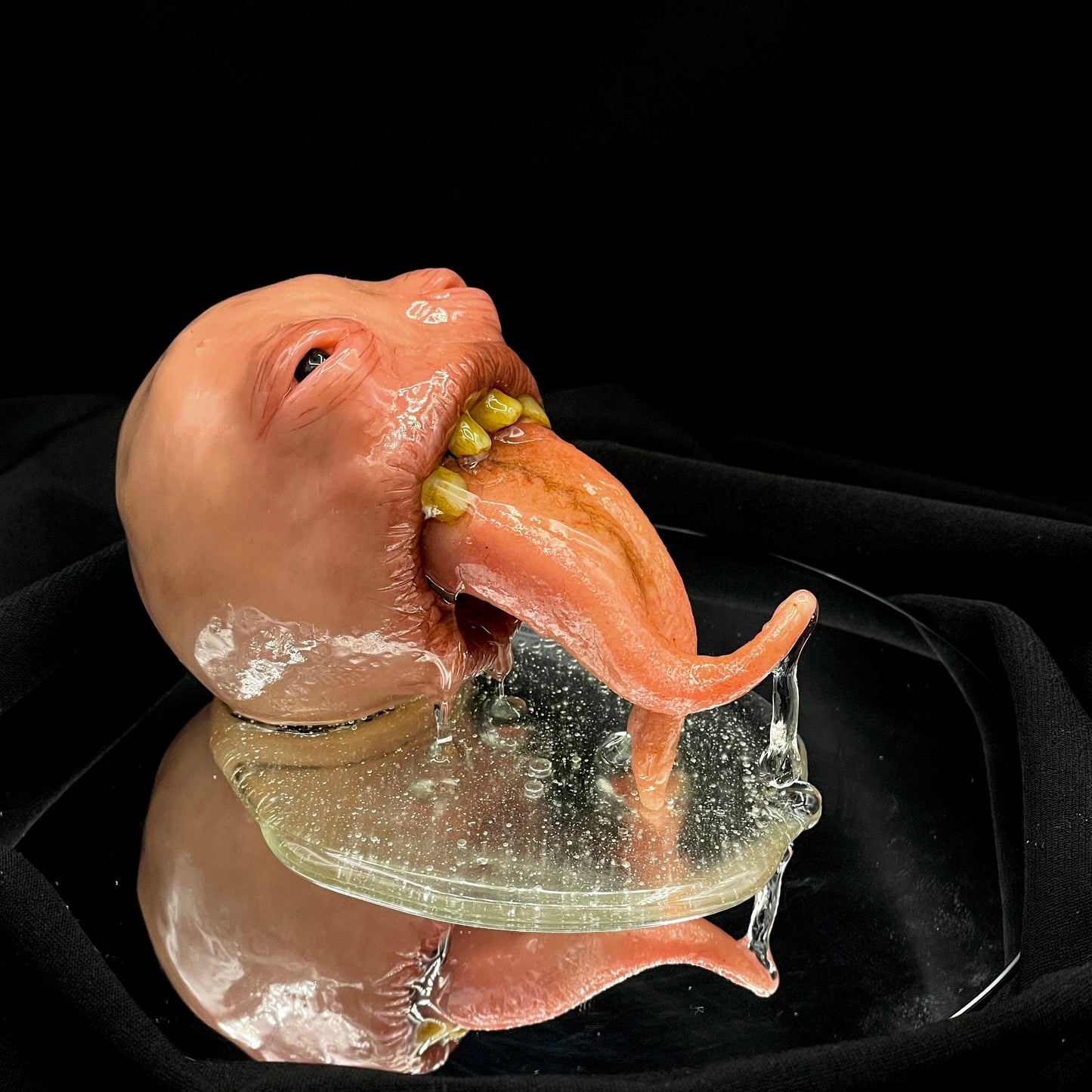 Salty's Ball Licker - Baby - 2