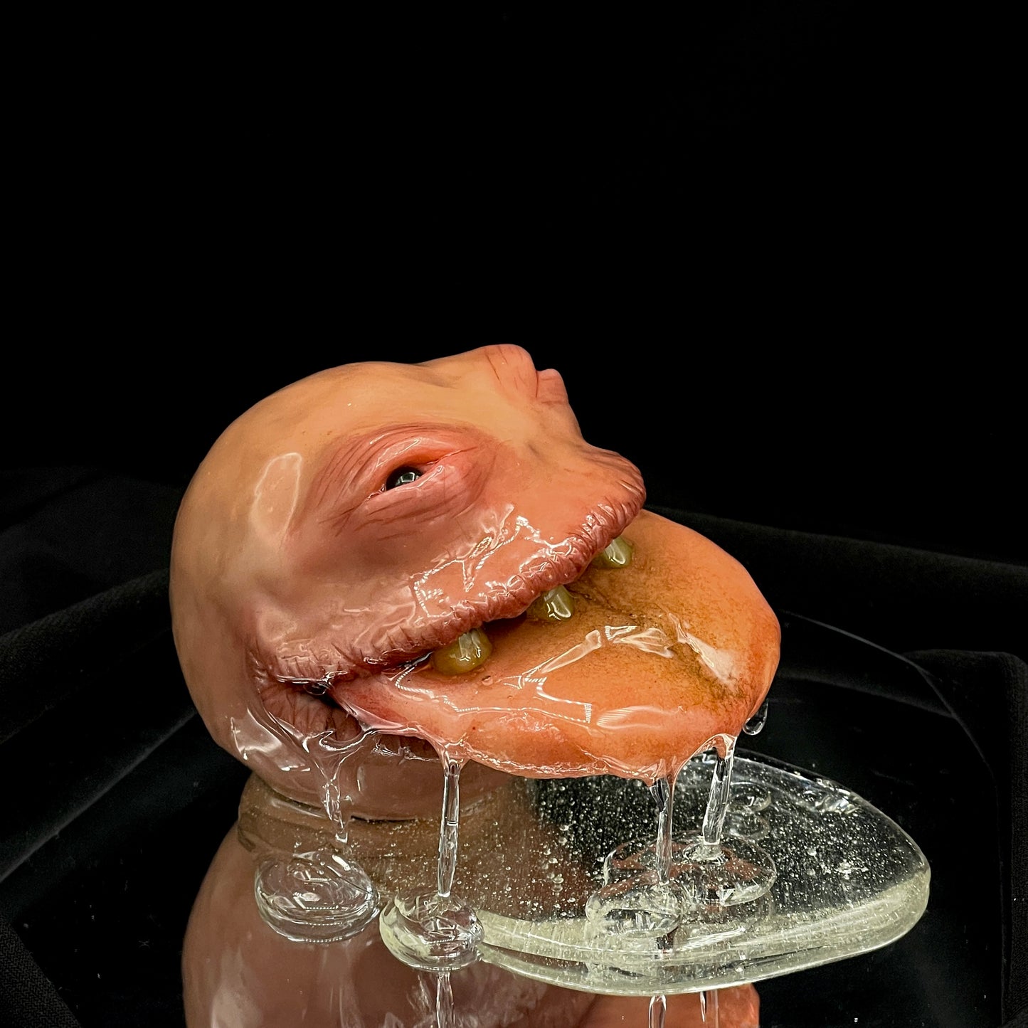 Salty's Ball Licker - Baby - 4