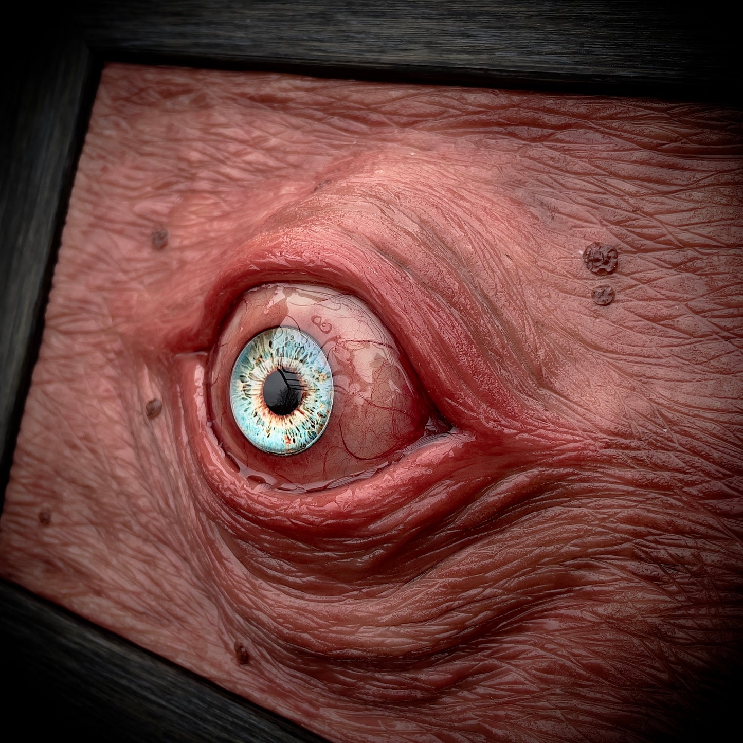 Salty’s WTFs - Framed High eye. (Blue)