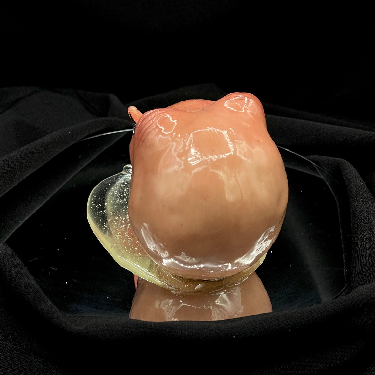 Salty's Ball Licker - Baby - 2