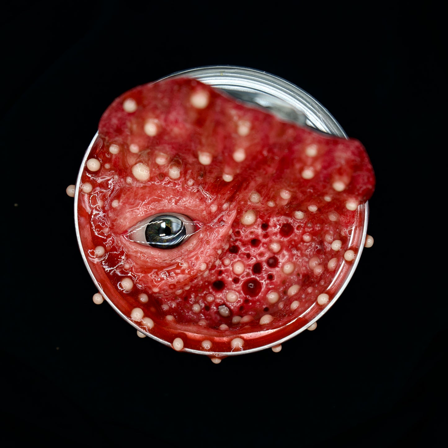 Salty’s Bits- Trypophobia Pudding