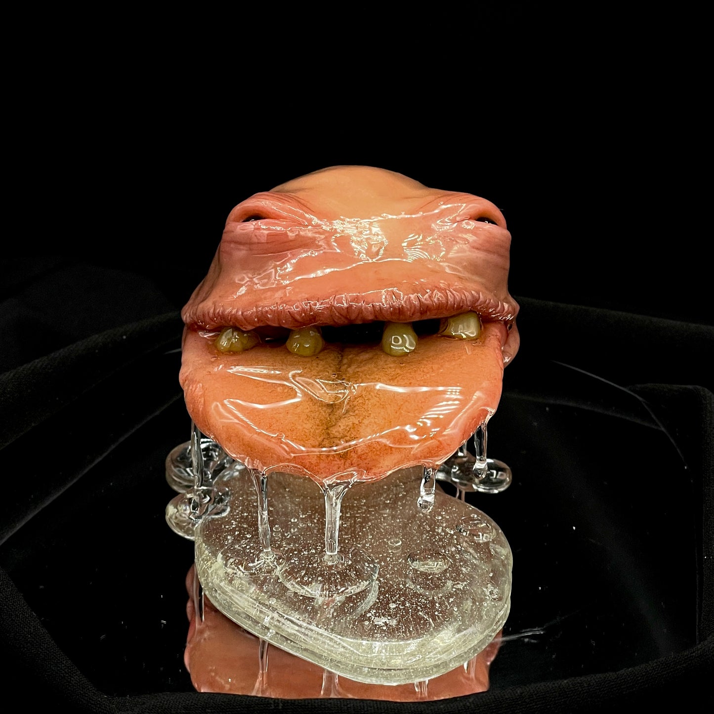 Salty's Ball Licker - Baby - 4