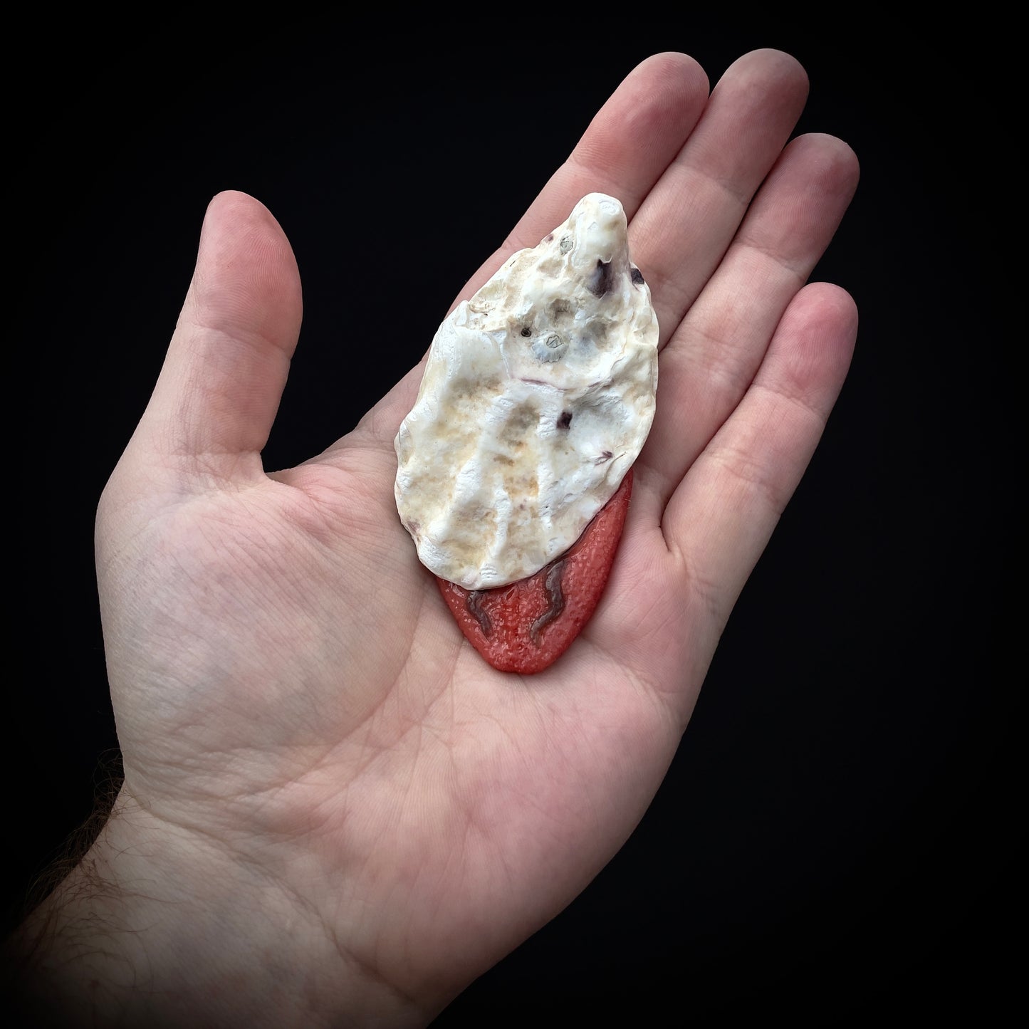 Salty's Shells - Tongue 1