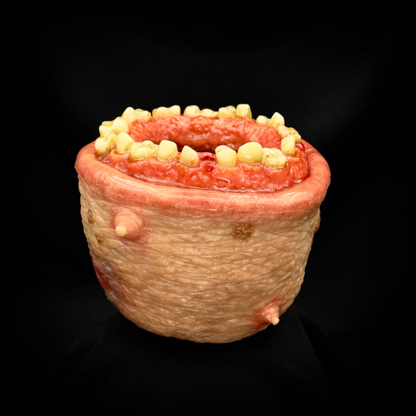 Salty’s Bits- Fleshy Toothy Cup of Holding.