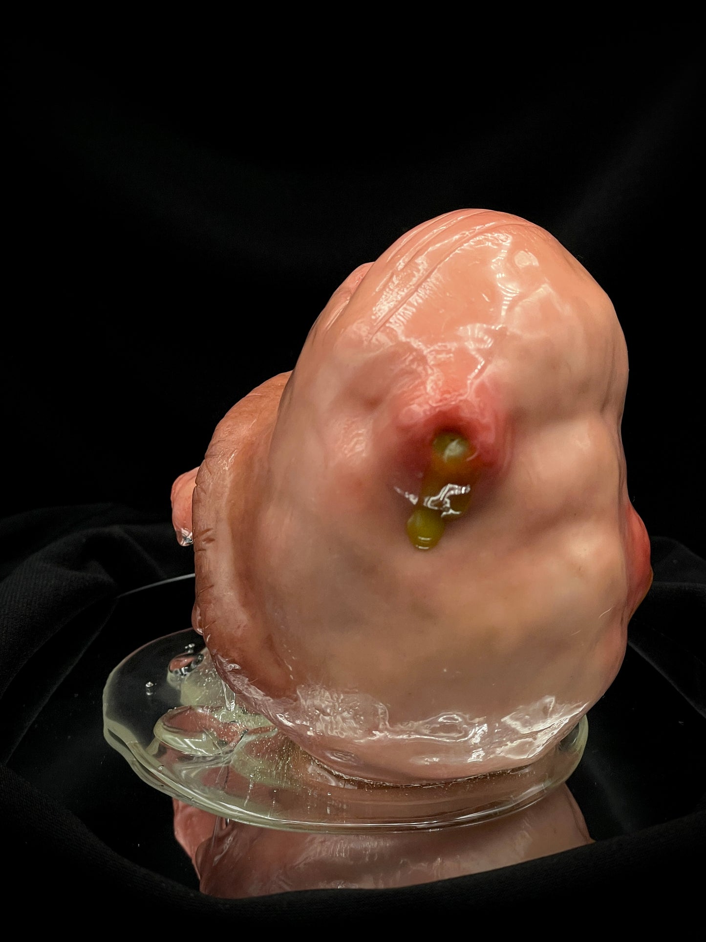 Salty's Ball Licker - Cyclops - 2 - Purple eye.