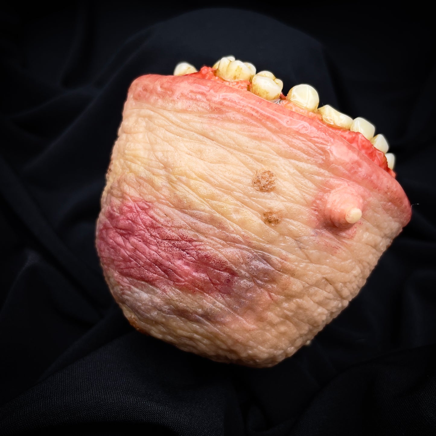 Salty’s Bits- Fleshy Toothy Cup of Holding.
