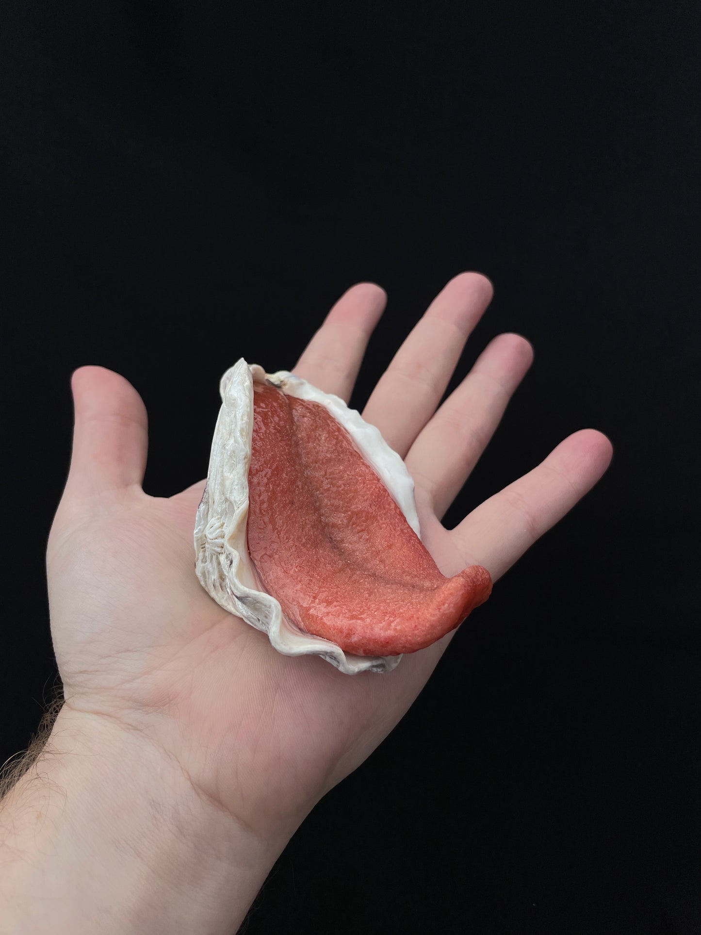 Salty's Shells - Tongue 4