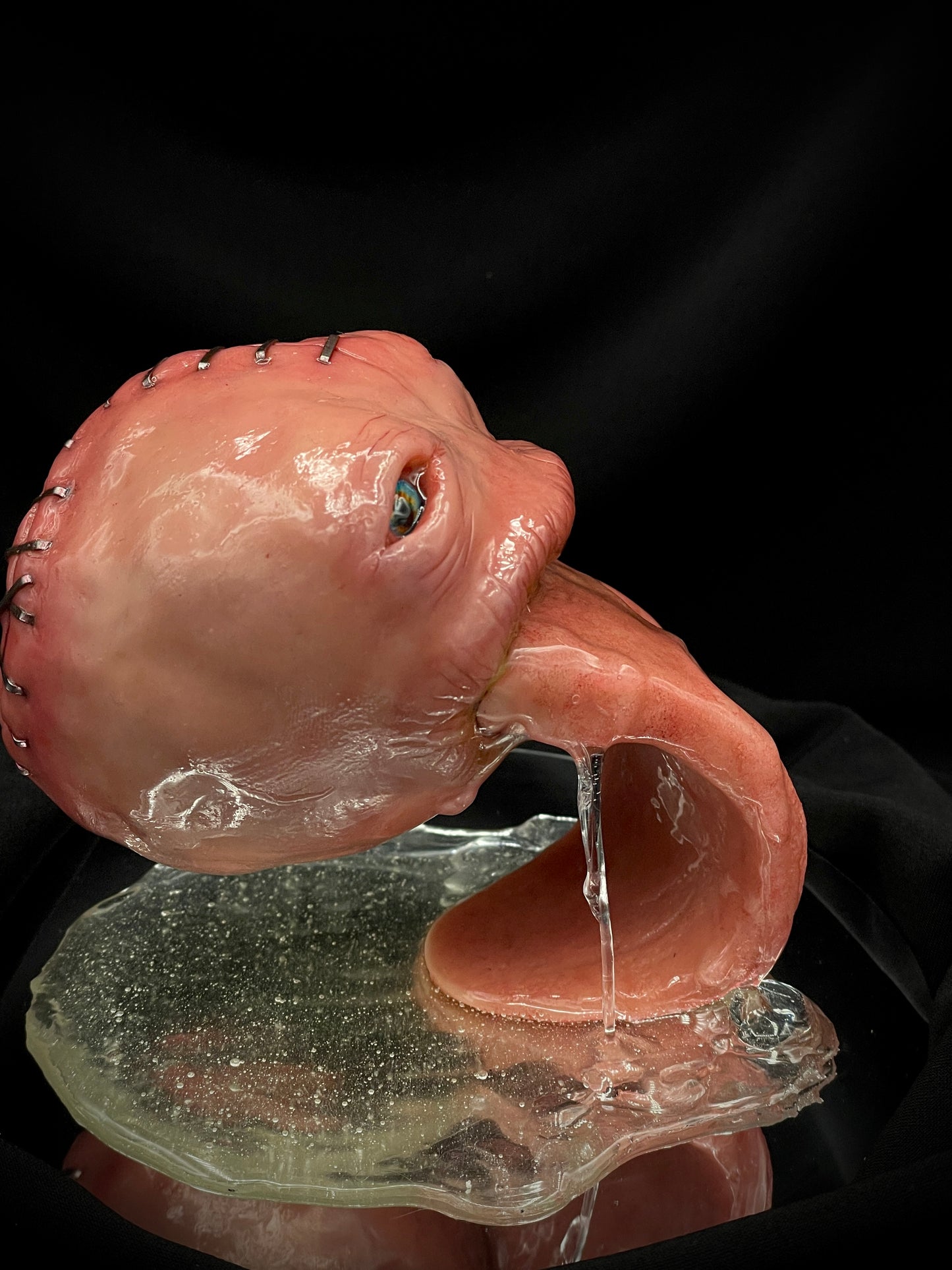 Salty's Ball Licker - 1