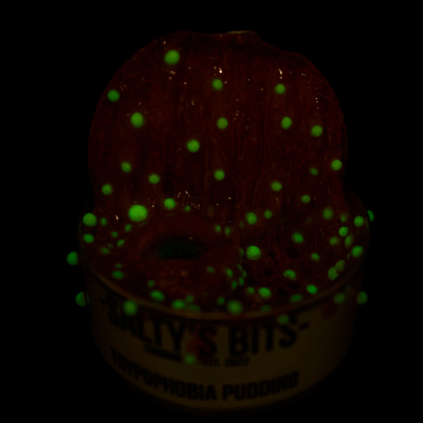 Salty’s Bits- Trypophobia Pudding