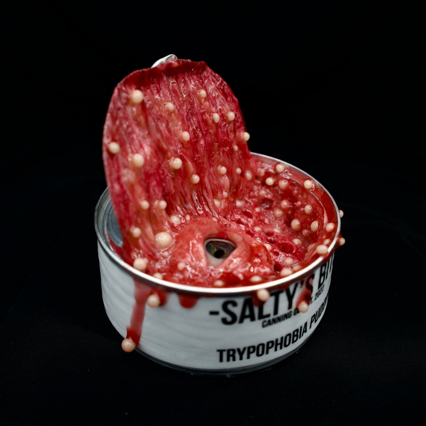 Salty’s Bits- Trypophobia Pudding