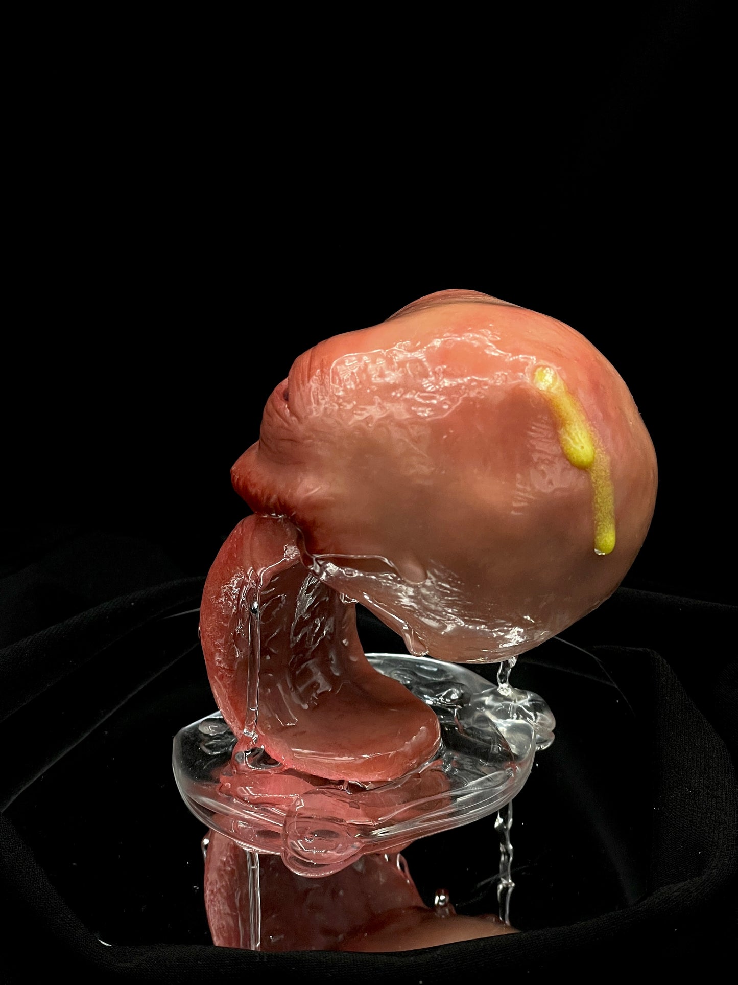 Salty's Ball Licker - 2