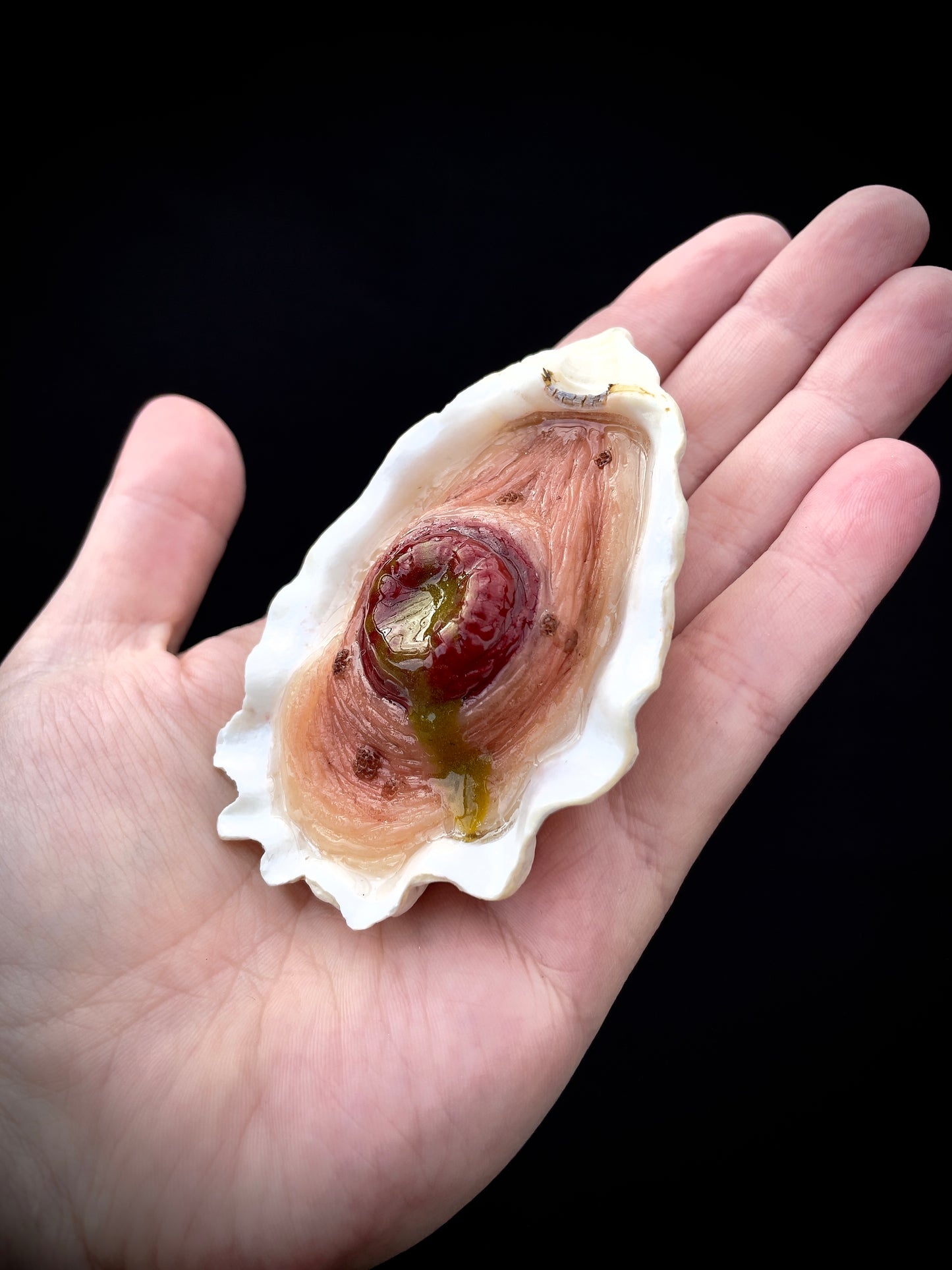 Salty's Shells - Leaky Stoma