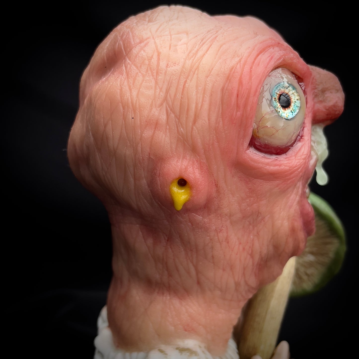 Salty’s WTFs - Hybrid- Mort’n Mushroom.