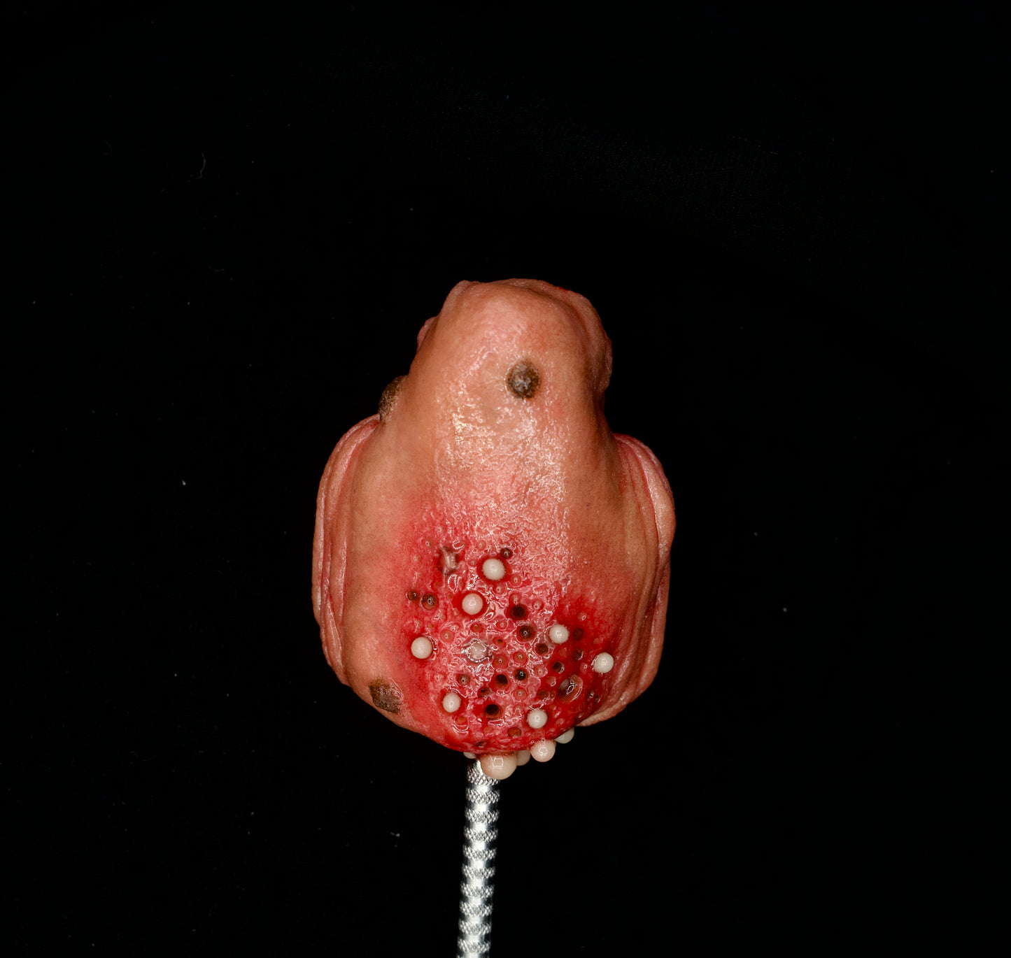 Salty’s Bits- Sculpting tool- One eye character w/ glowing teeth- Commission