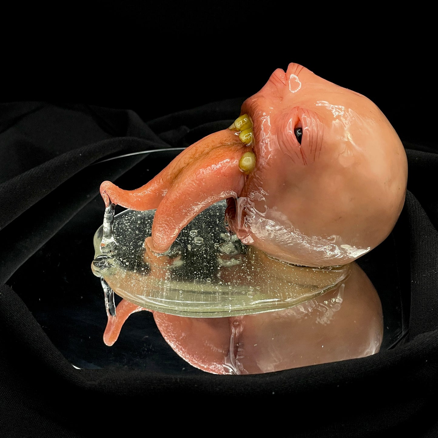 Salty's Ball Licker - Baby - 2