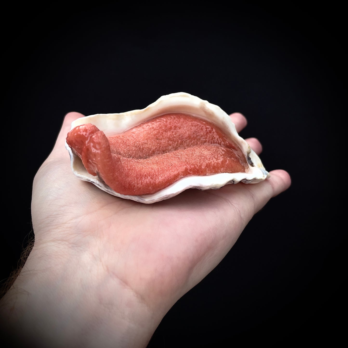 Salty's Shells - Tongue 4