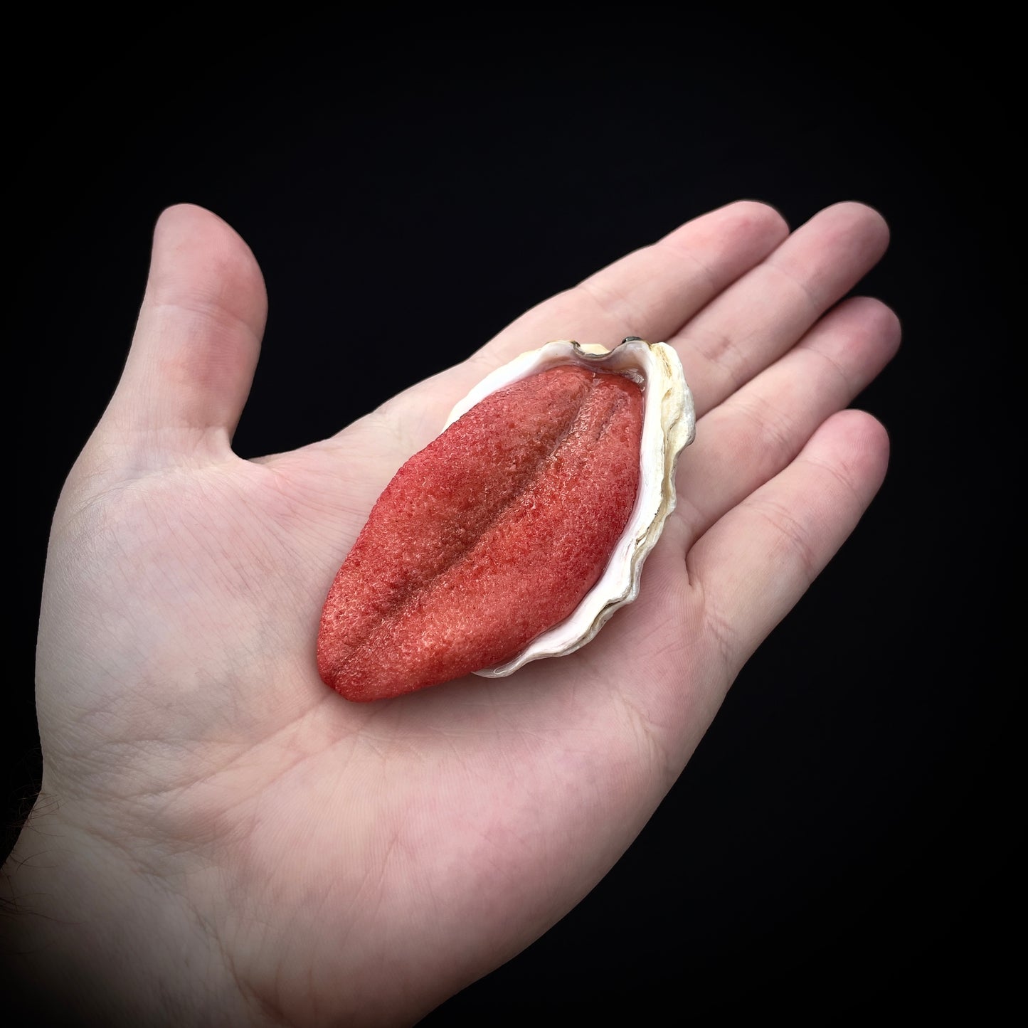 Salty's Shells - Tongue 1