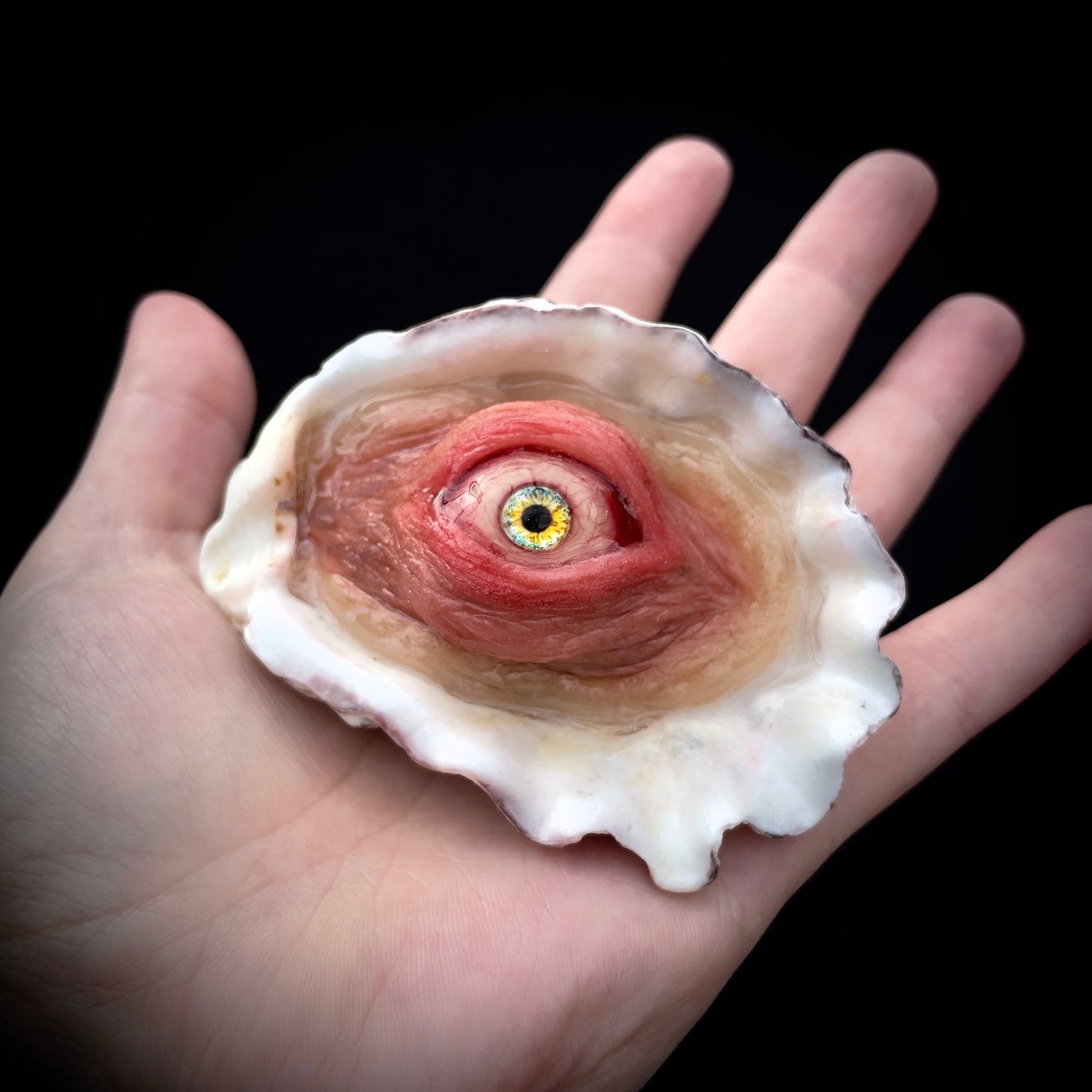 Salty's Shells - Eye 1