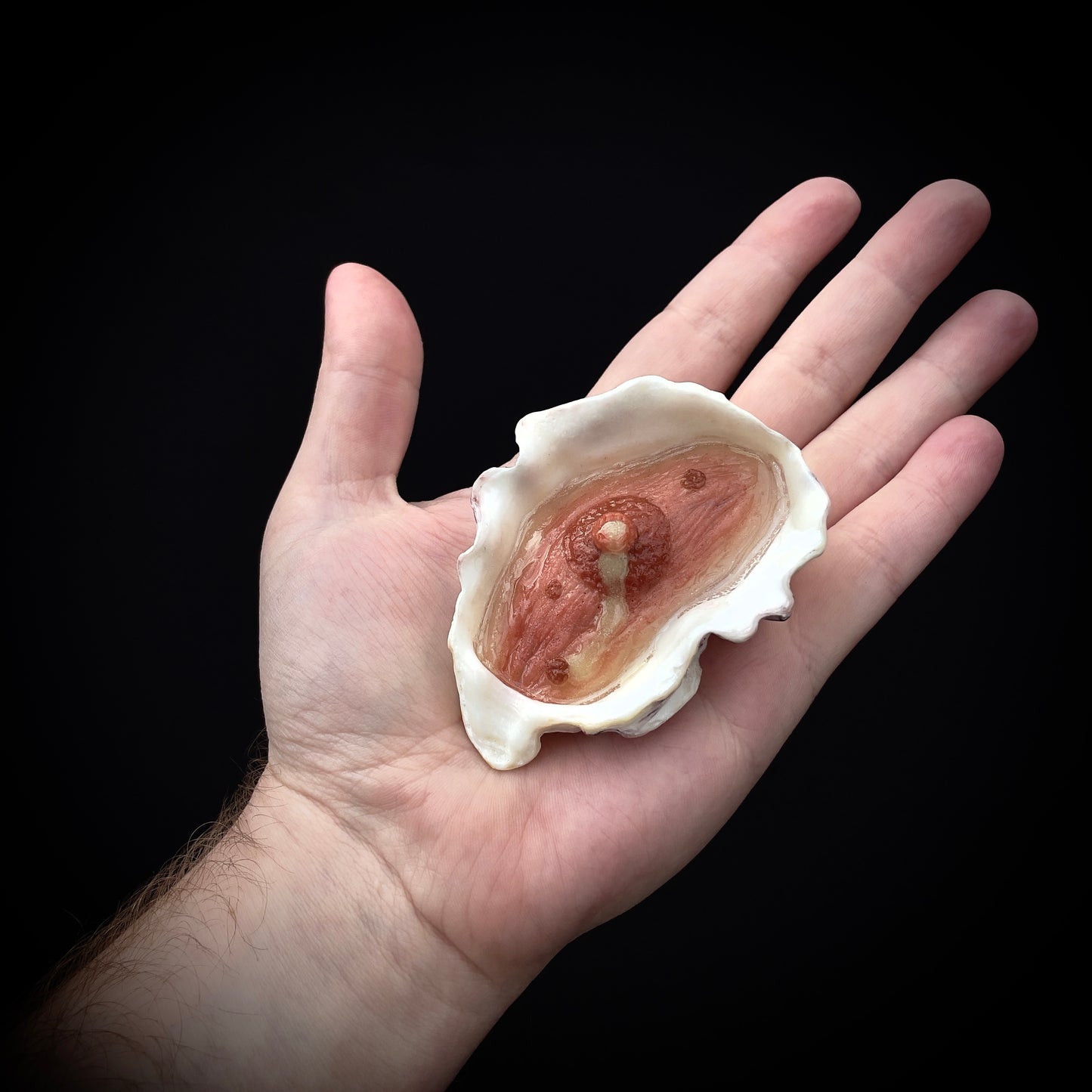 Salty's Shells - Leaky Nipple